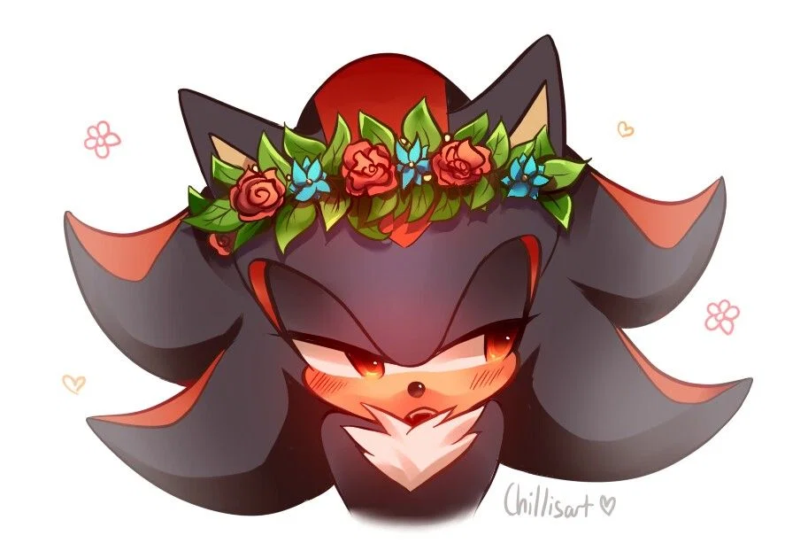 Shadow The Hedgehog