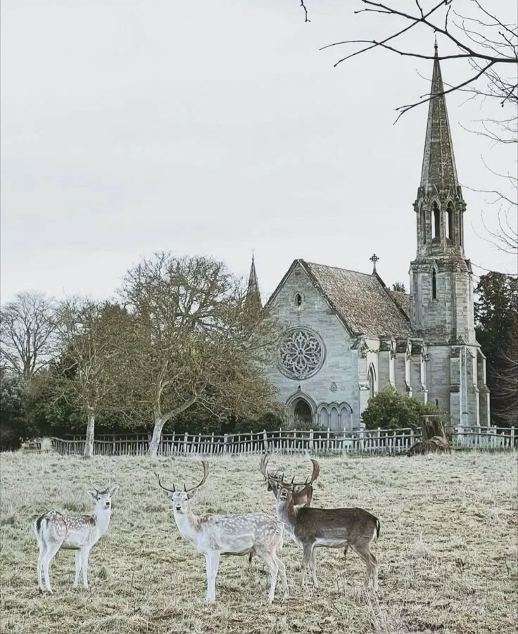 Church [RPG]