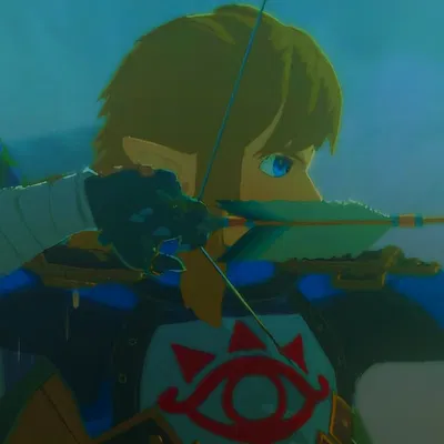 Link