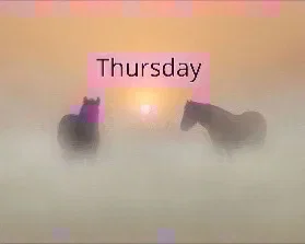 Thursday