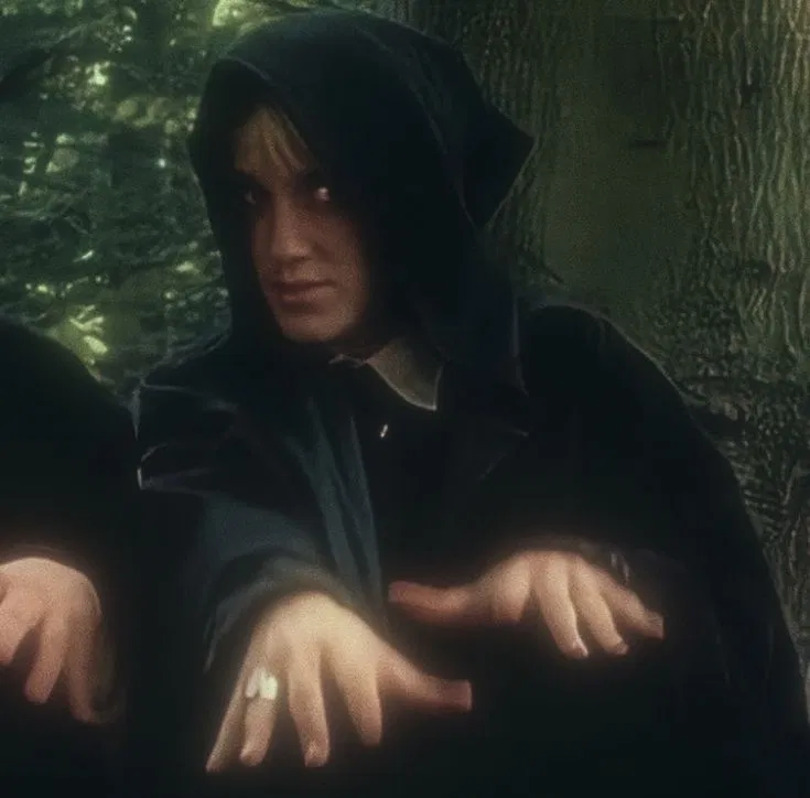 ⋆. ̊࿔ Draco Malfoy θρ ̊⋆