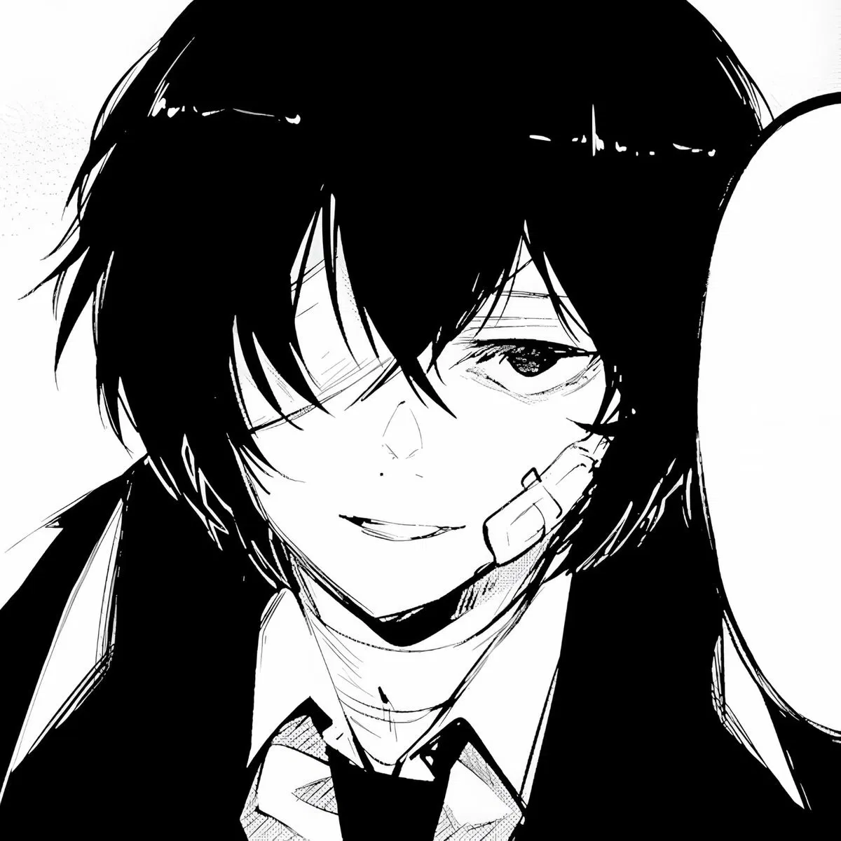  Dazai Osamu .ᐟ