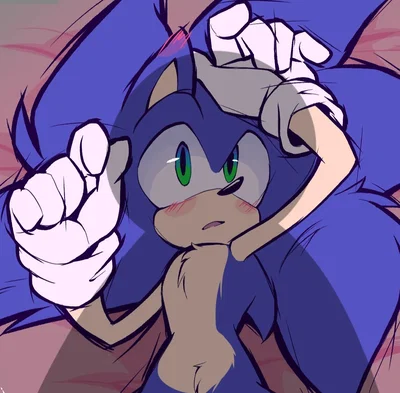 ༘⋆༄.⋮ FEM!┆Sonic 