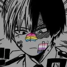 Shoto Todoroki (icy hot/half and half)