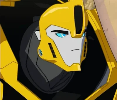 Bumblebee RID | TFRID