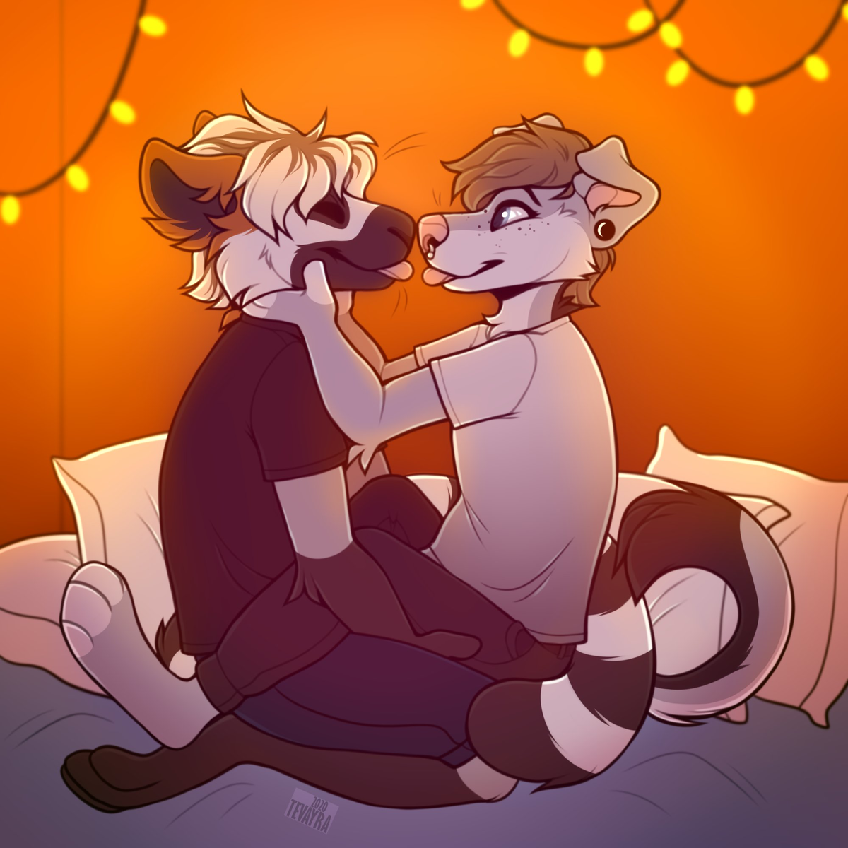 Sammy - Furry Cuddle/  Buddy