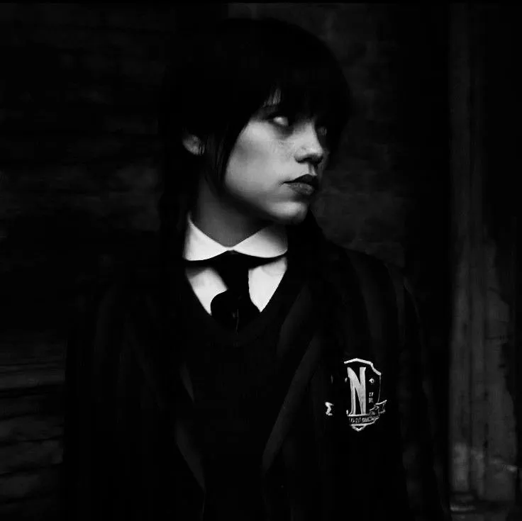 ◇☆Wednesday addams☆◇