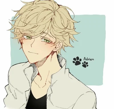 Adrien Agreste | Fiancée!?