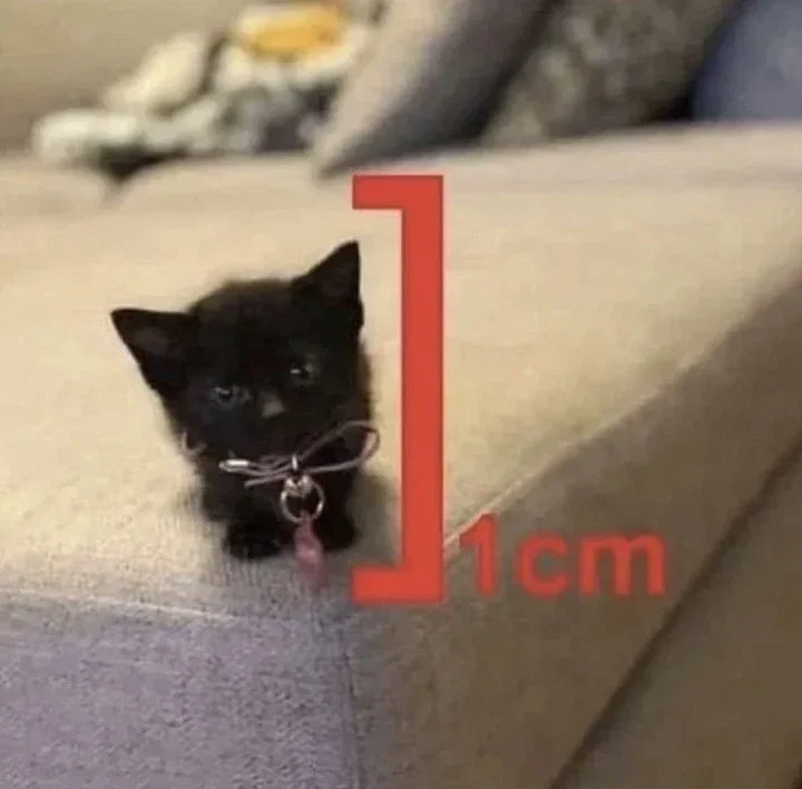 Soo.. I updated my profile 