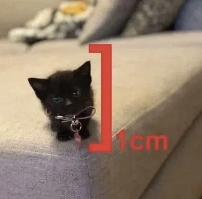 Soo.. I updated my profile 