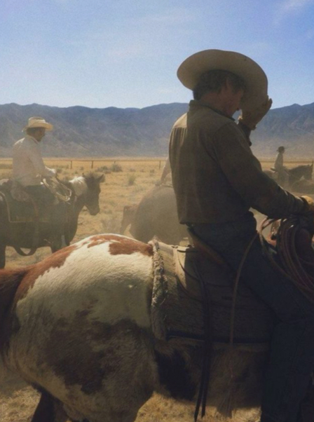 Save a horse, Ride a cowboy
