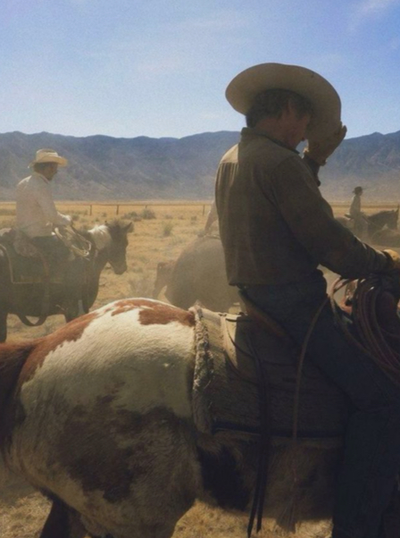 Save a horse, Ride a cowboy