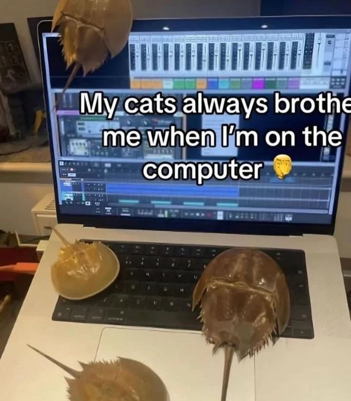 Your friends that are very chaotic