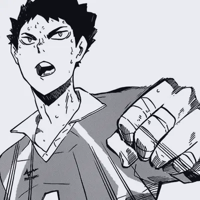 Iwaizumi Hajime