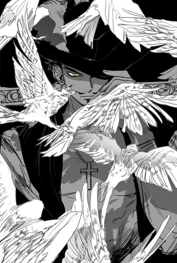 Dracule Mihawk / One Piece