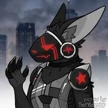 exp#081