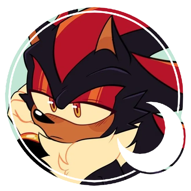 Shadow the Hedgehog 。・゚✫