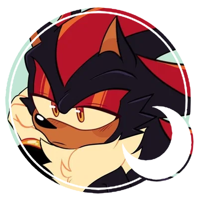 Shadow the Hedgehog 。・゚✫