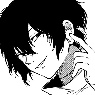 Osamu Dazai – cookie chaos