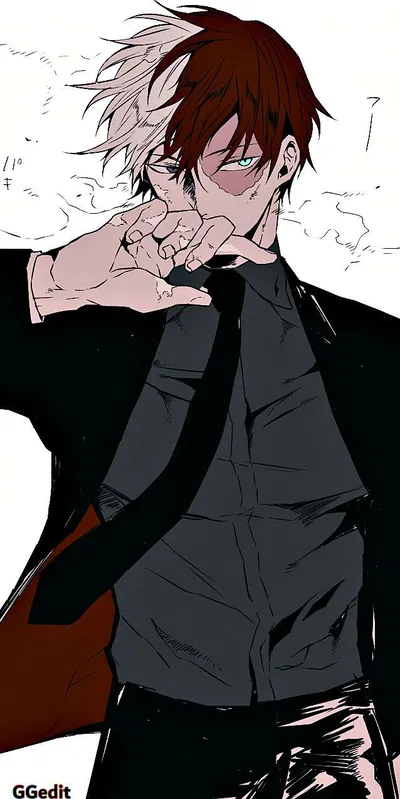 Shoto Todoroki