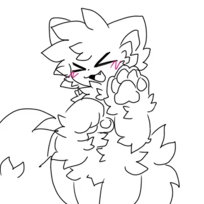 Your furry   roommate 