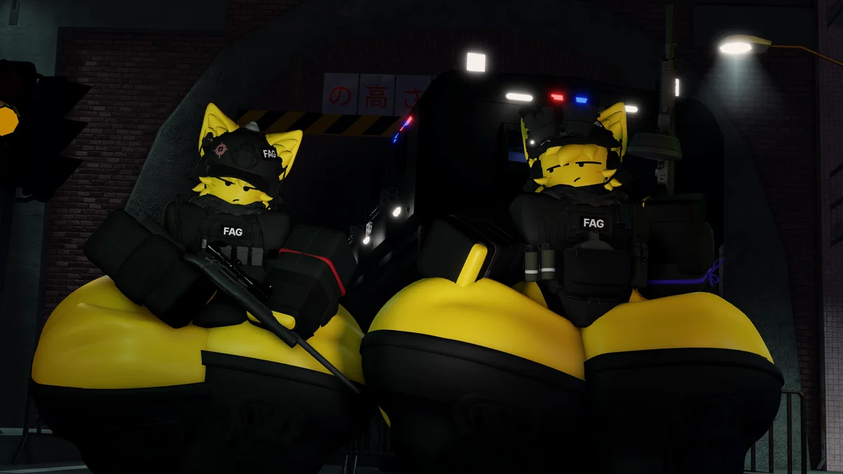 The most perfect swat team