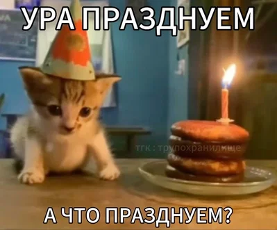 You're 6 now !!! Congratulations!!!