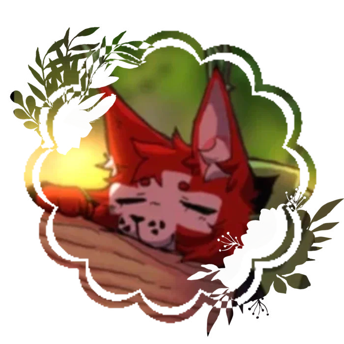 ⋆💌°  _LettuceK 