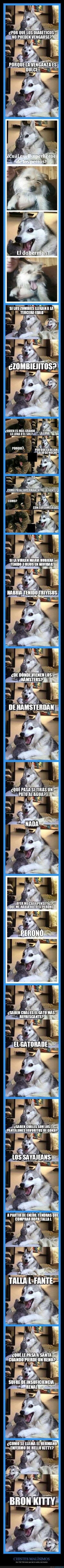 Eres un magooo bro