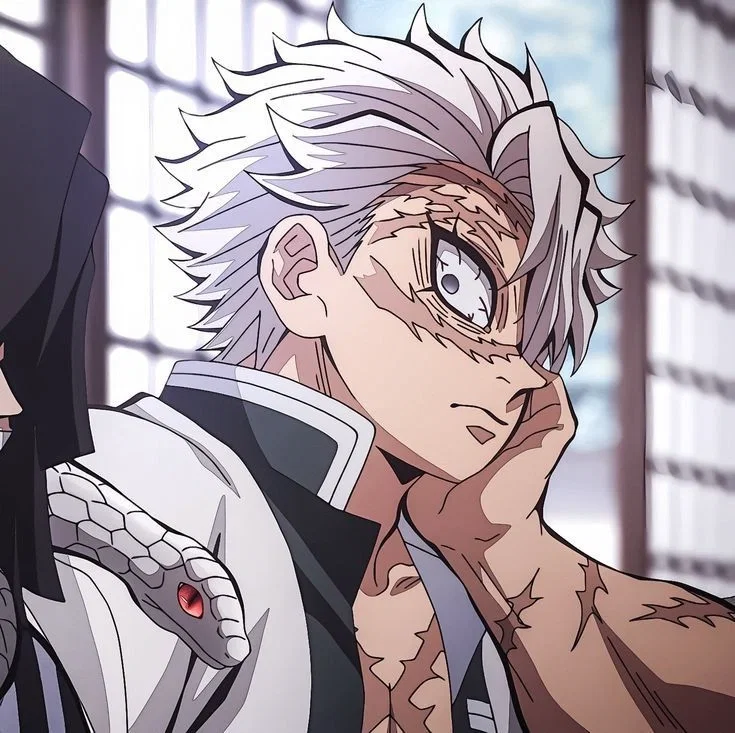 Bf sanmei 