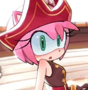 - [ Amy Rose ] -