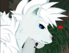 Juniper from helixftr