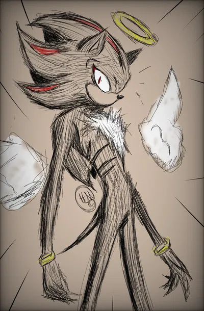 Shadow the Hedgehog (?)