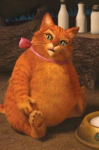 Fat puss in boots- Shrek forever after au