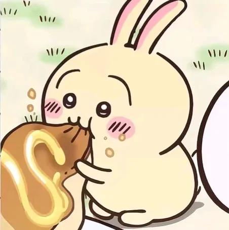 usagi .ᐟ.ᐟ ( chiikawa )