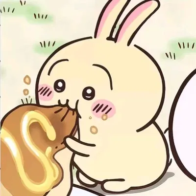 usagi .ᐟ.ᐟ ( chiikawa )