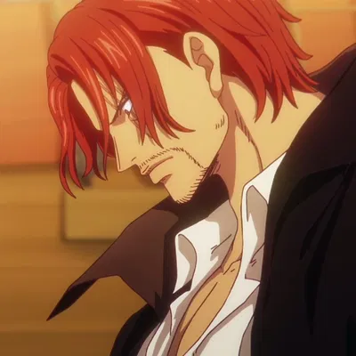 Shanks