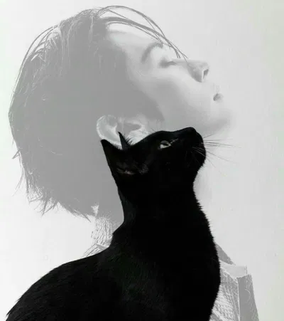 Lee Minho — Cat