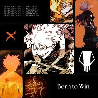 Canon | Katsuki Bakugo