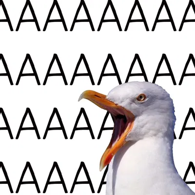 AAAAAAAAAAAAAAAAAAAAAAAAAAAAAAAAAAAAAAAAAAAAAAAAAAAAA