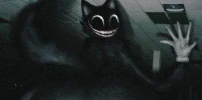 Cartoon Cat