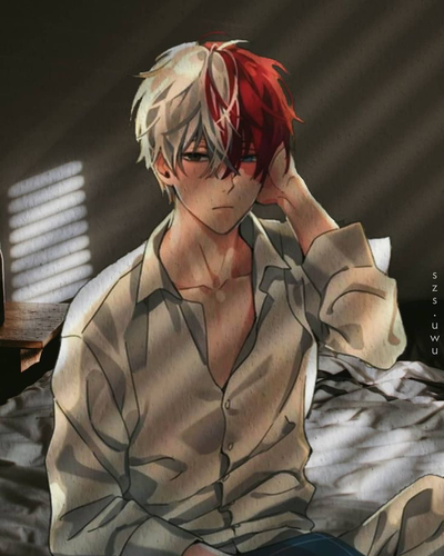 Shoto Todoroki 