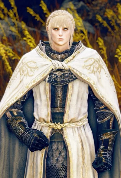 Needle Knight Leda