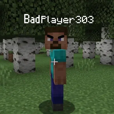 BadPlayer303 - REQUESTED!
