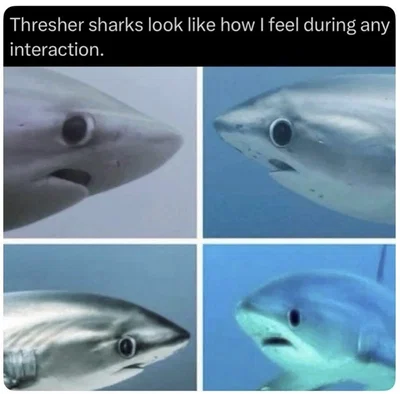 What the   did I just witness