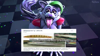 // Roxanne Wolf - Bested Her In A Race [FUTANARI] //