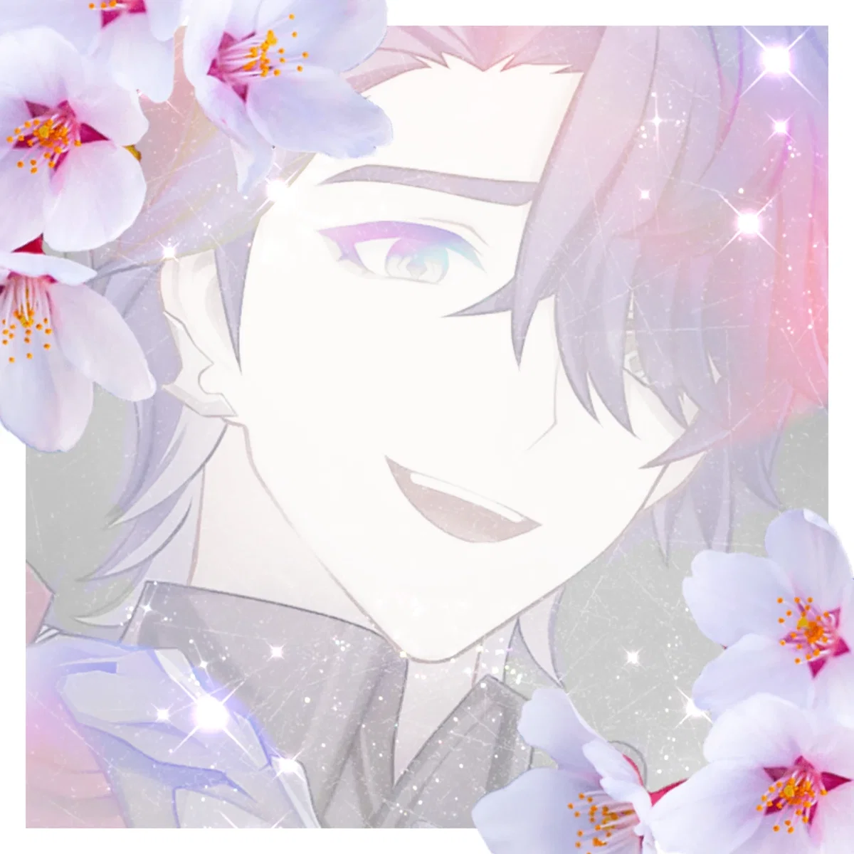 ✦ Sampo ✦