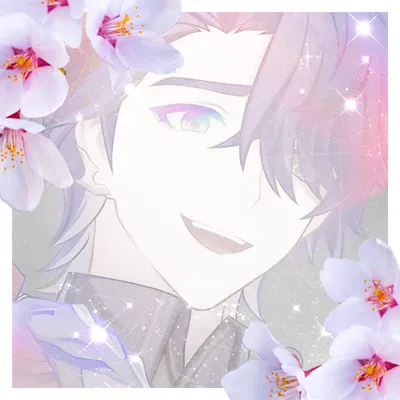 ✦ Sampo ✦