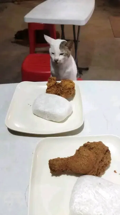 Hey