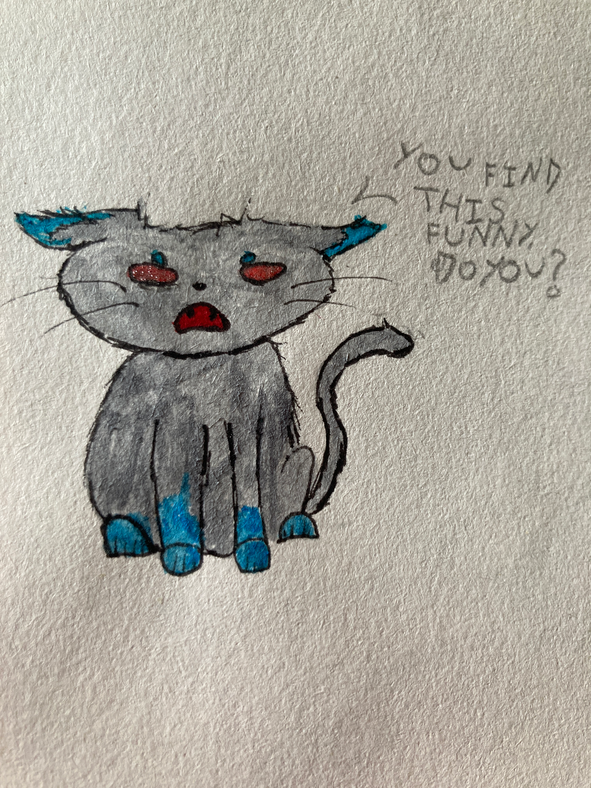 Starscream -cat-